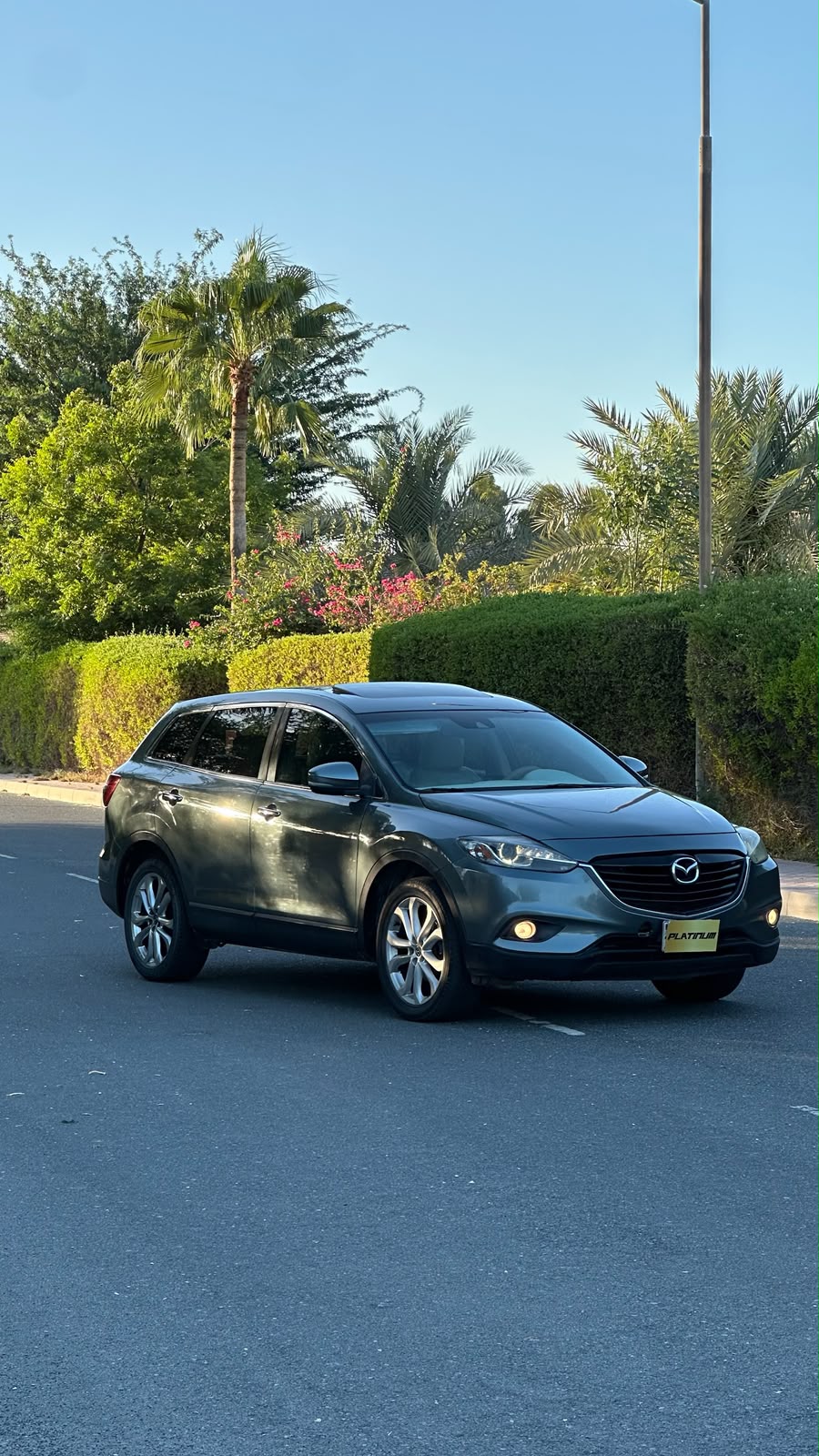 
								MAZDA CX-9 2013 full									
