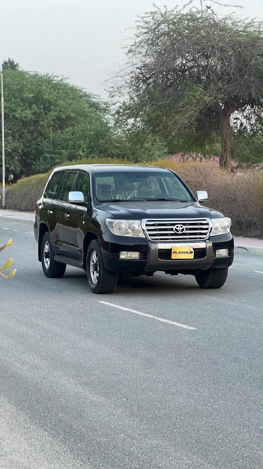 
								TOYOTA LAND CRUISER 2008 full									